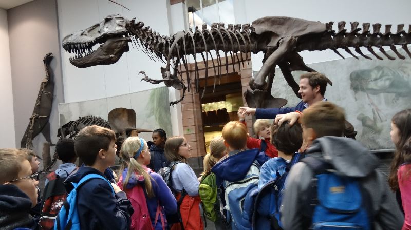 Senckenberg2